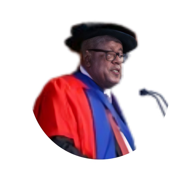 prof Dr. Jonathan Jansen