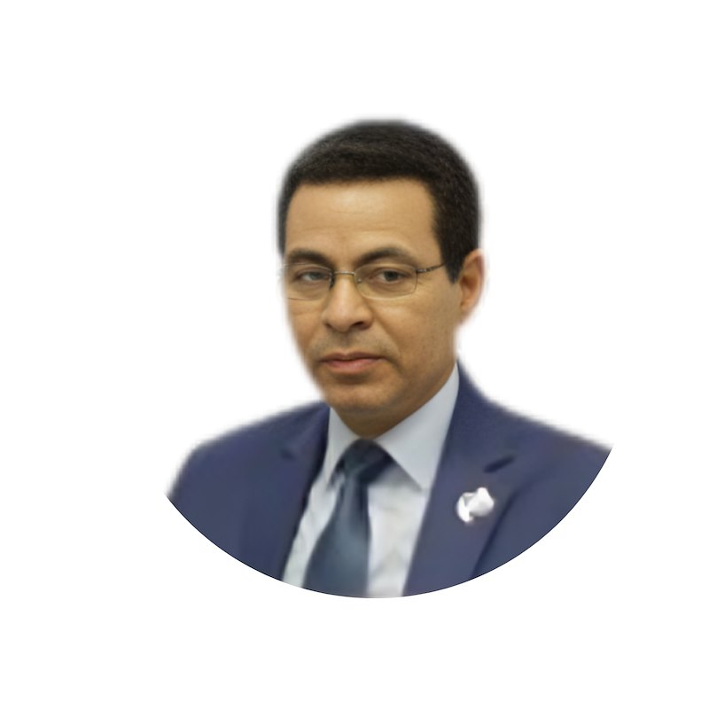 prof Dr. Mahmoud  Abdel-Aty